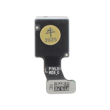 Caméra avant reconditionné pour Samsung Galaxy S25+