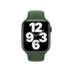 Bracelet Sport Apple Watch 38 et 40 et 41mm S et M & M et L - Vert Gazon - Apple photo 3