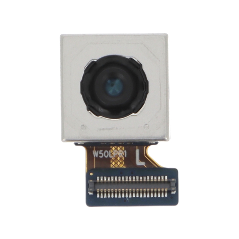 Caméra arrière principale Galaxy A17 4G et 5G photo 1
