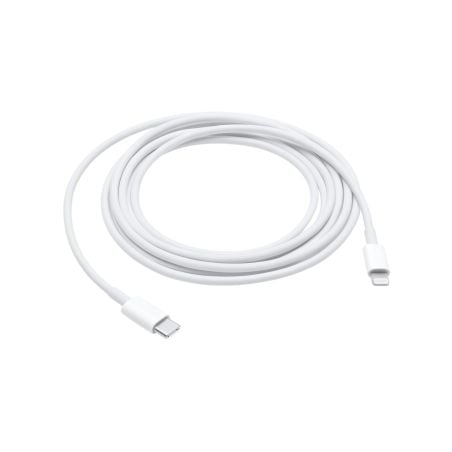 Câble USB-C vers Lightning pour iPhone, iPad et iPod - Blanc - Apple