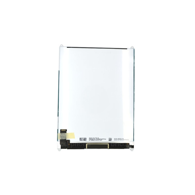 Ecran LCD pour iPad Mini photo 2