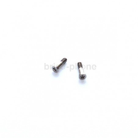 Lot des 2 vis pentalobe Silver pour iPhone 6, 6 Plus, 6S et 6S Plus photo 2