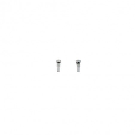 Lot de 2 vis pentalobes Argent pour iPhone 8 et 8 Plus