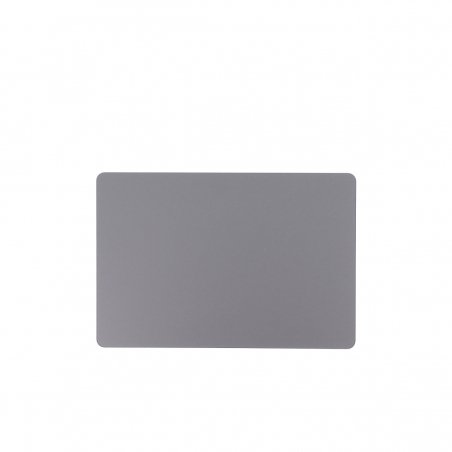 TouchPad Gris sidéral MacBook Air 13 pouces - A1932 - photo 1