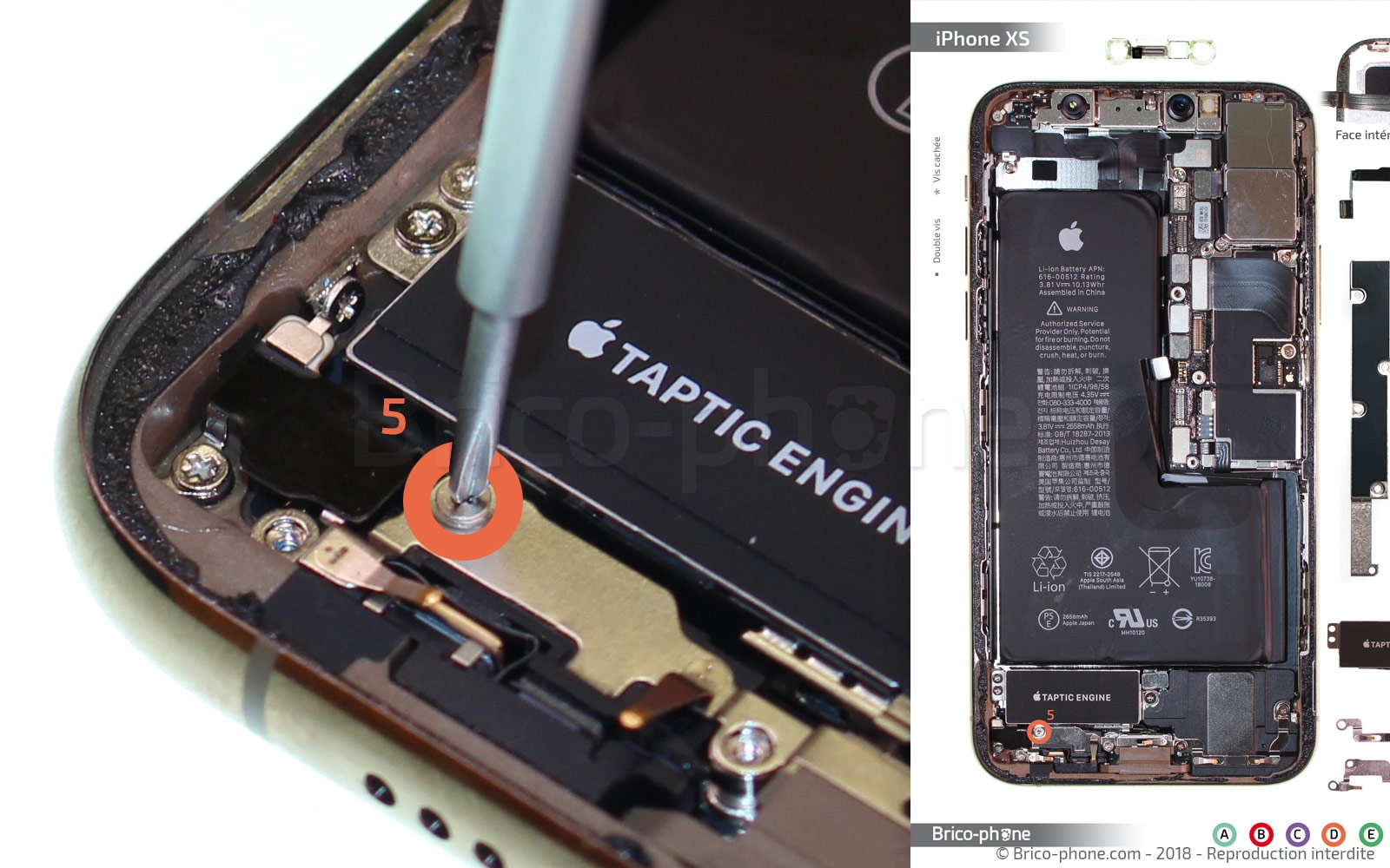 Démontage des iPhone XS/XS Max : deux smartphones, deux batteries bien  différentes