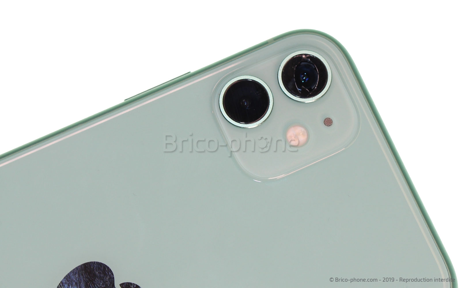 Vitre arrière iPhone 11 vert + joint de caméra - Phonexpert78