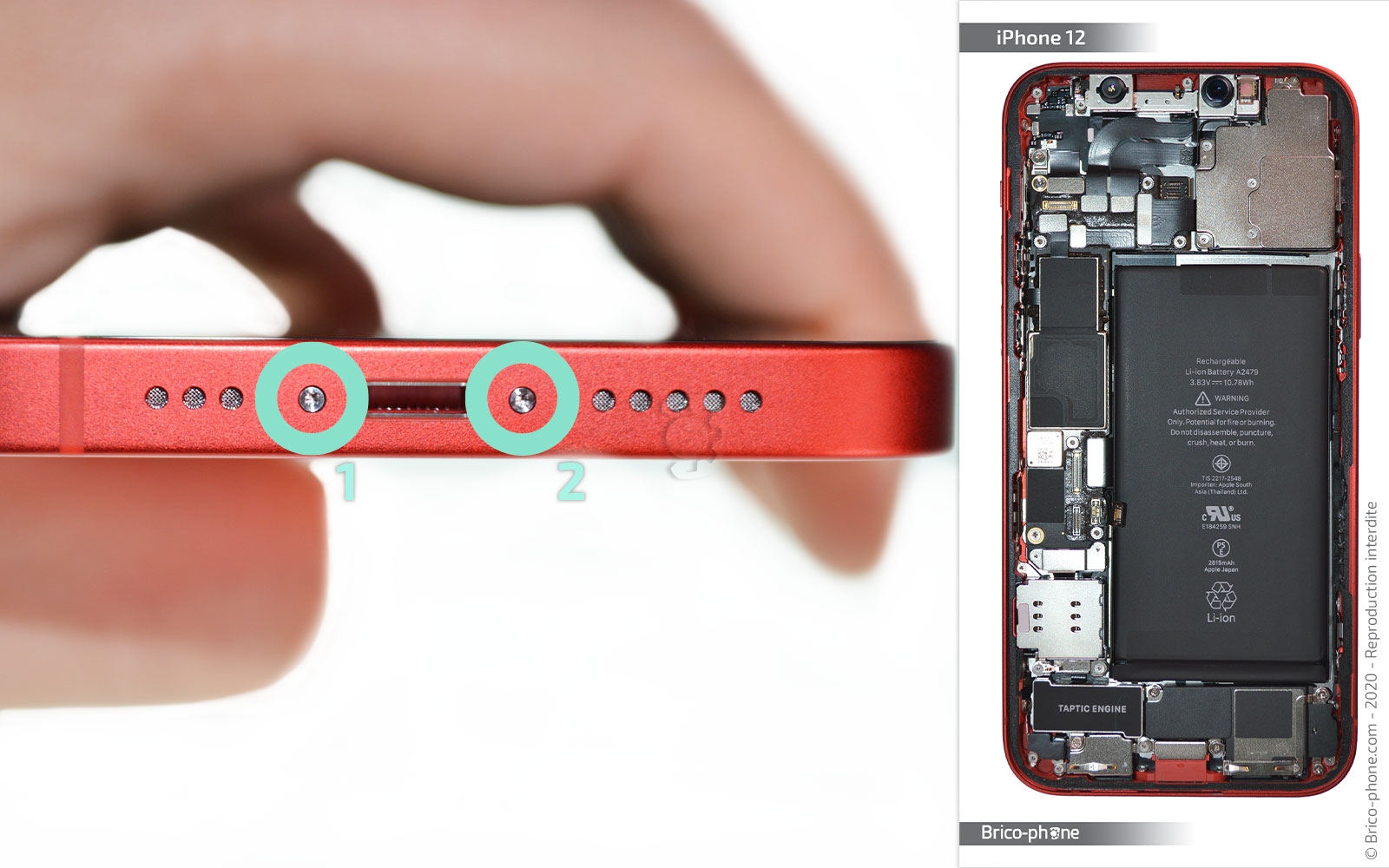 Comment remplacer la batterie de l'iPhone SE 2020 ? La solution avec ce  tutoriel Brico-Phone. 