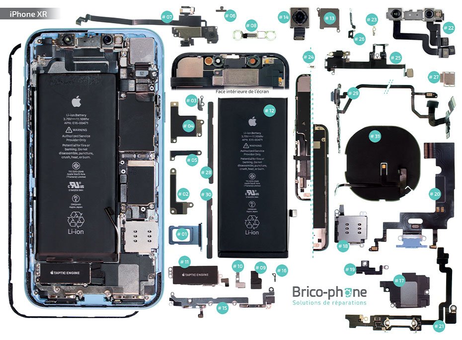 Vue éclatée des pièces détachées de l'iPhone XR