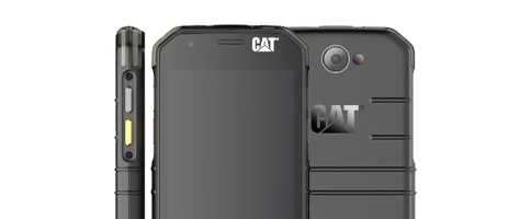 CAT S31