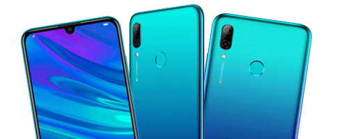 P Smart 2019
