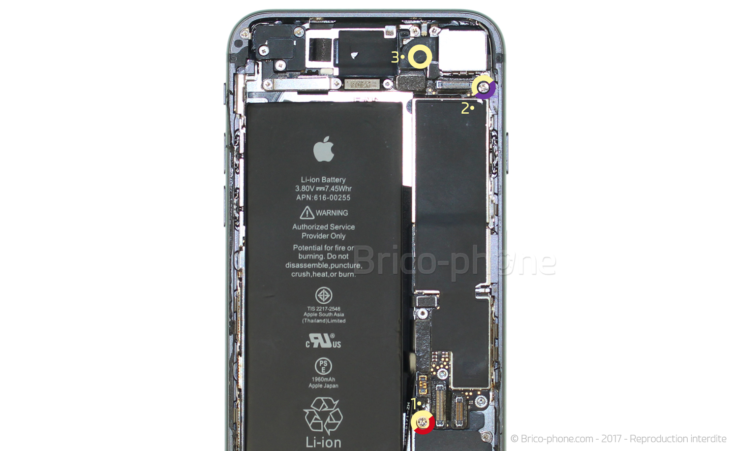 Changement du haut-parleur externe sur iPhone 8 photo 1