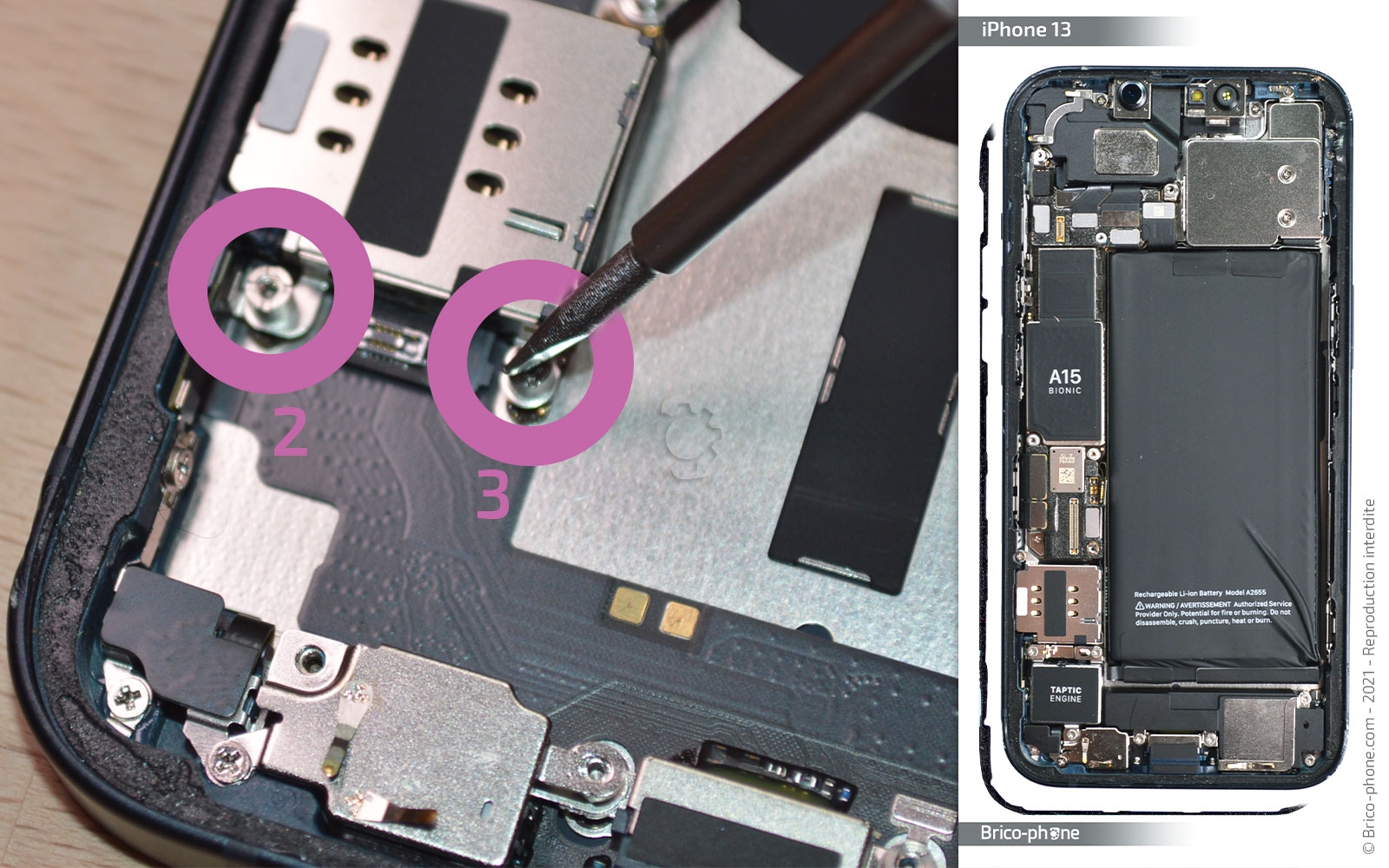 Guide de réparation sur iPhone 13 photo 2