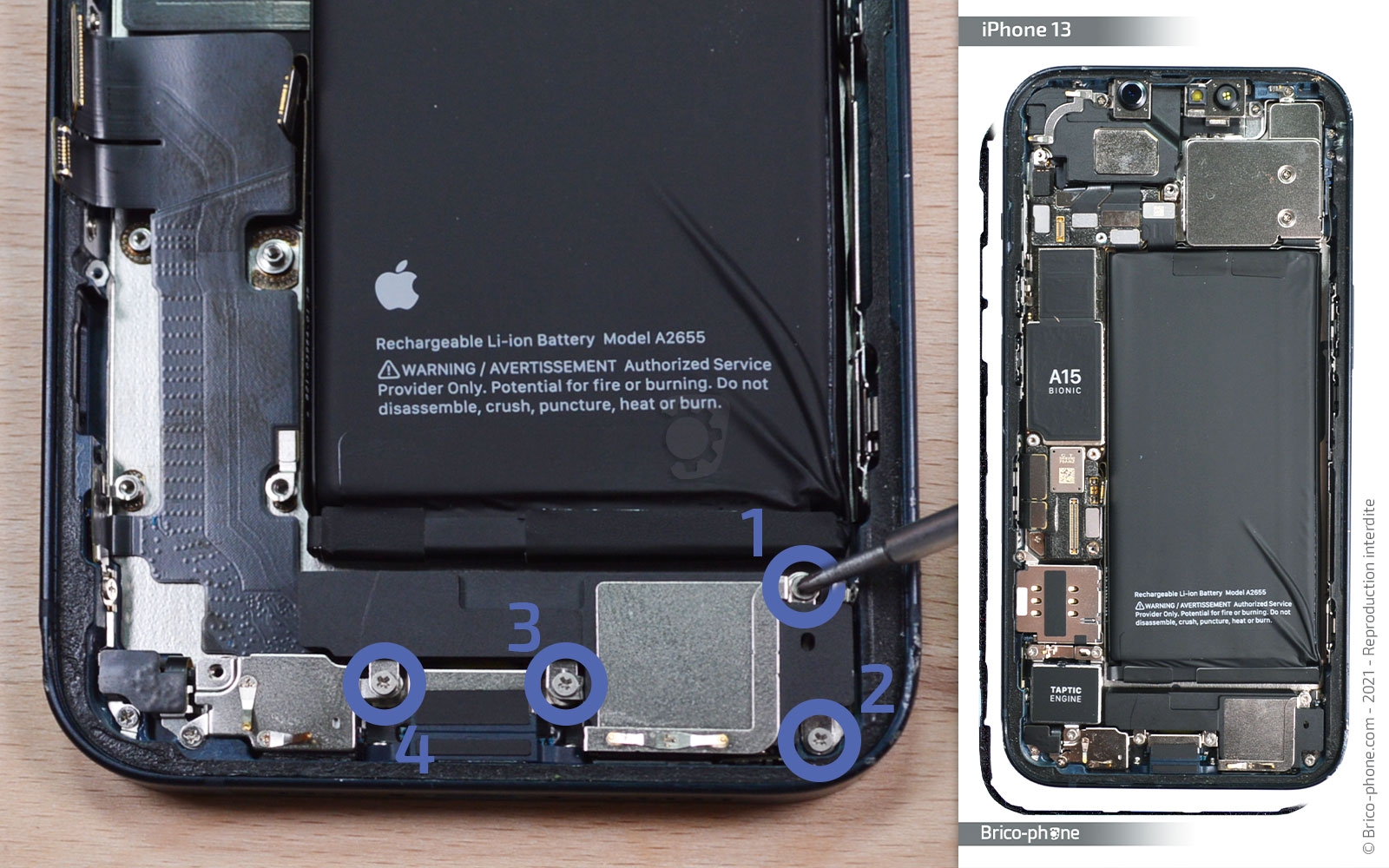 Changement du connecteur de charge sur iPhone 13 photo 1