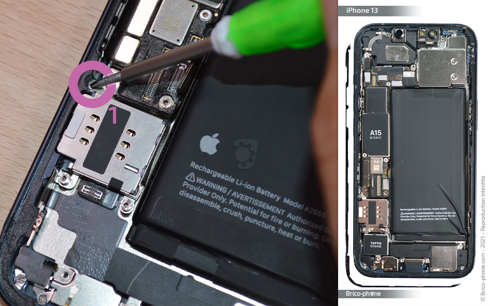 Changement du connecteur de charge sur iPhone 13 photo 2