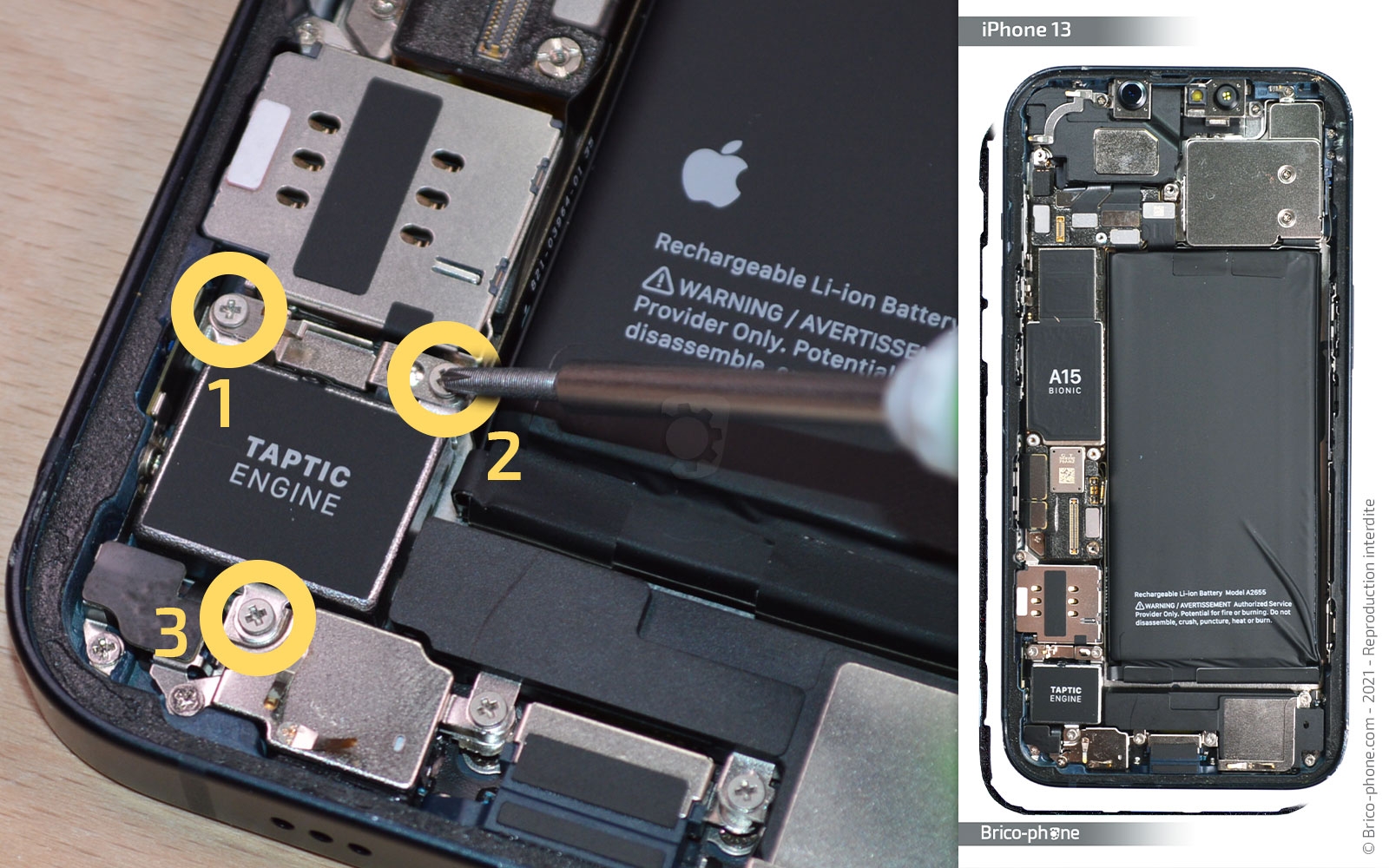 Changement du connecteur de charge sur iPhone 13 photo 1