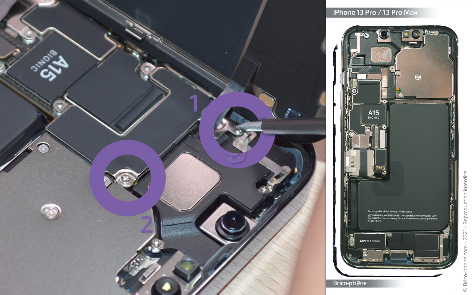 Changement de l'écran (vitre + Oled) sur iPhone 13 Pro photo 2