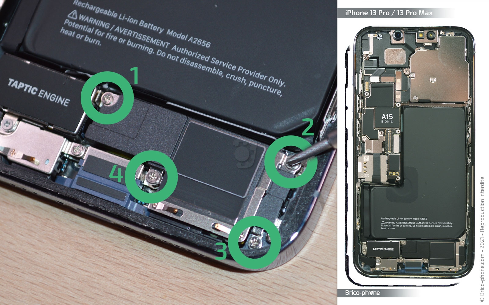 Changement du haut-parleur externe sur iPhone 13 Pro photo 1