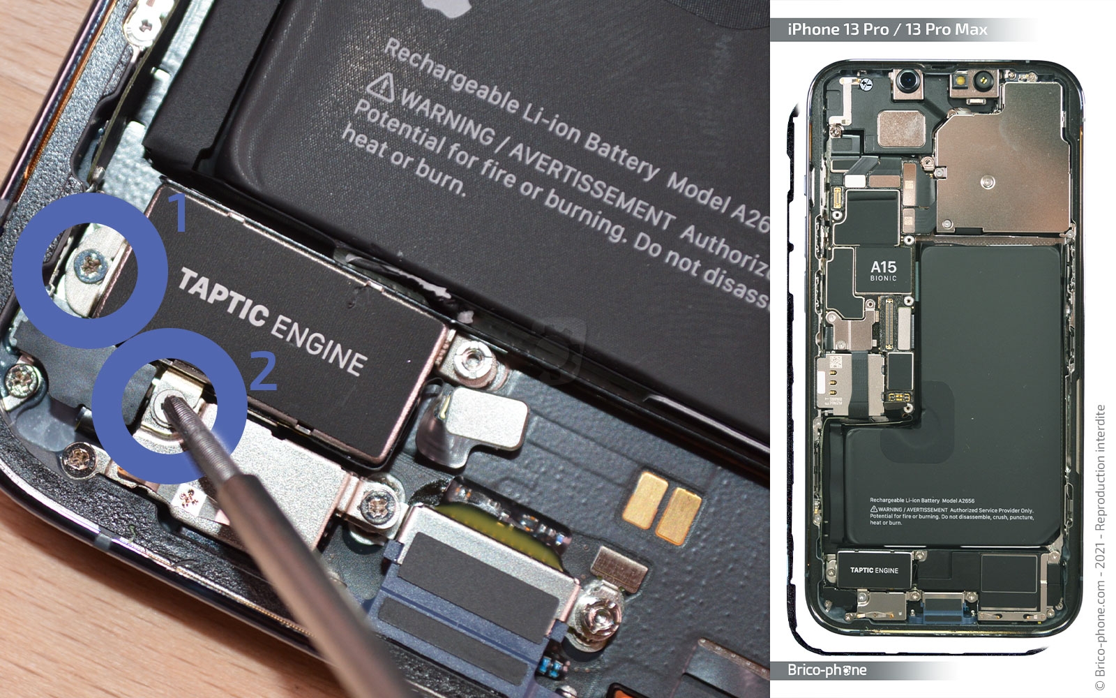 Remplacement du Taptic Engine (vibreur) sur iPhone 13 Pro photo 1