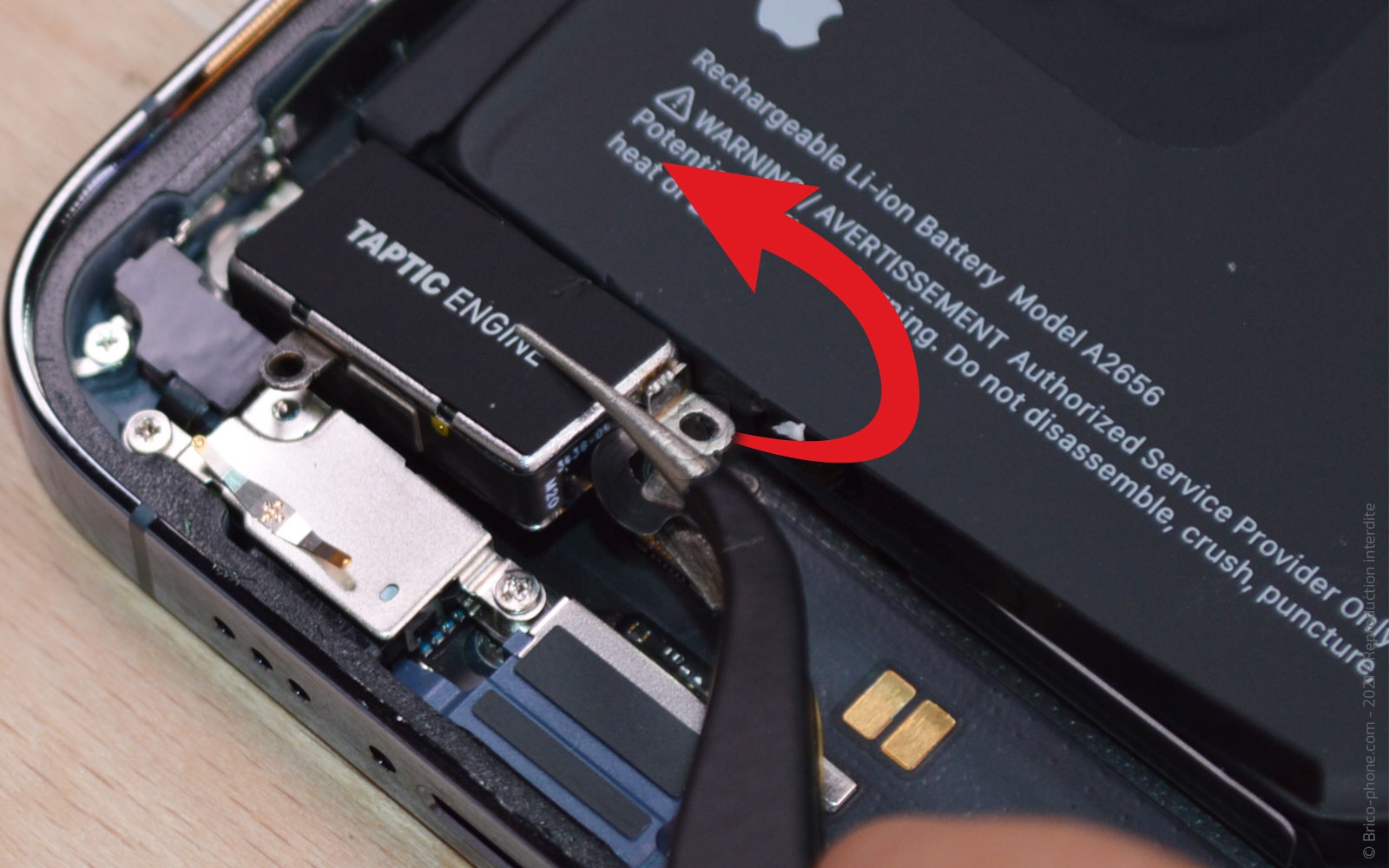 Remplacement du Taptic Engine (vibreur) sur iPhone 13 Pro photo 3