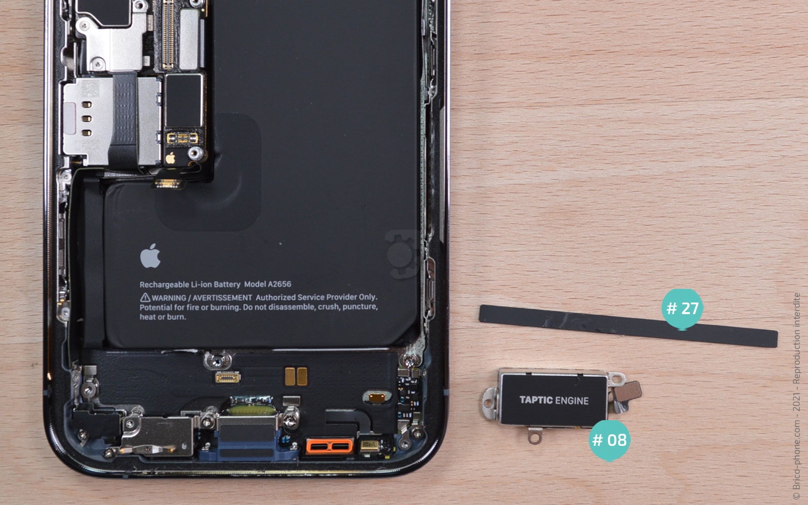 Remplacement du Taptic Engine (vibreur) sur iPhone 13 Pro photo 4