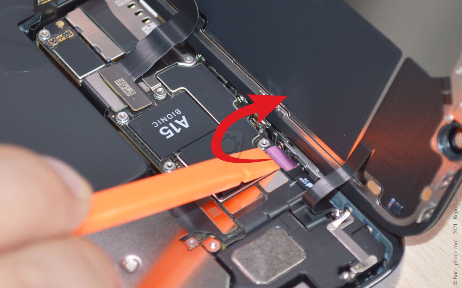 Remplacement du Taptic Engine (vibreur) sur iPhone 13 Pro photo 1