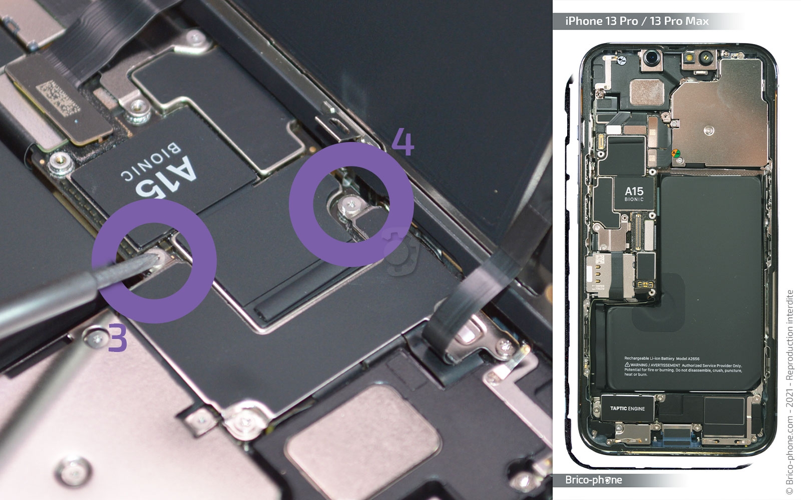 Remplacement du Taptic Engine (vibreur) sur iPhone 13 Pro photo 1