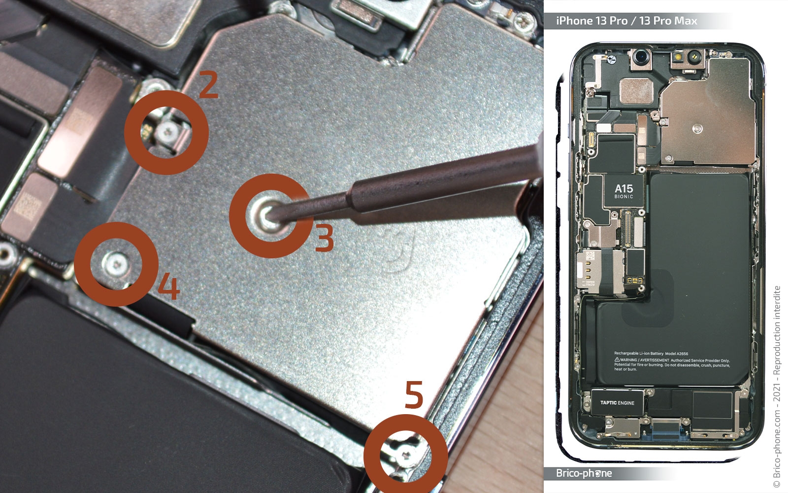 Changement du buzzer (HP interne) sur iPhone 13 Pro photo 1