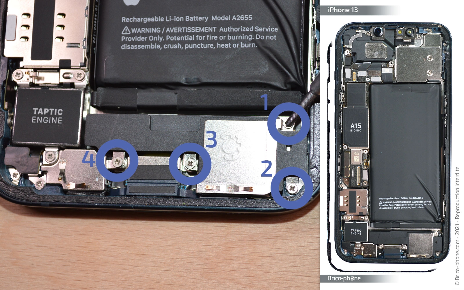 Changement du haut-parleur externe sur iPhone 13 photo 1