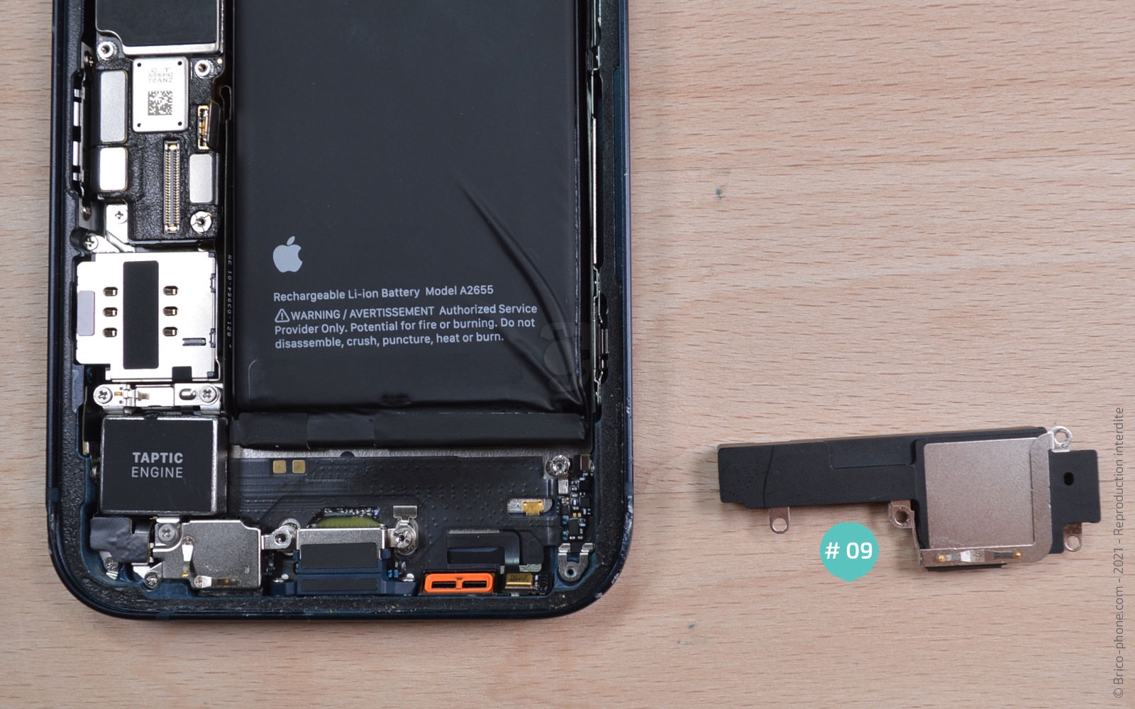 Changement du haut-parleur externe sur iPhone 13 photo 3