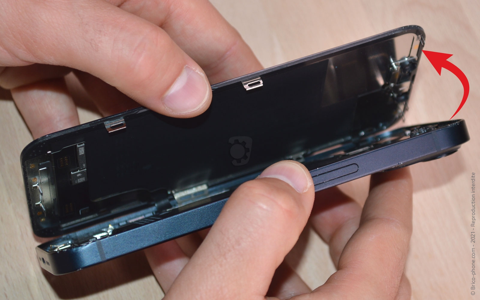 Changement du haut-parleur externe sur iPhone 13 photo 2