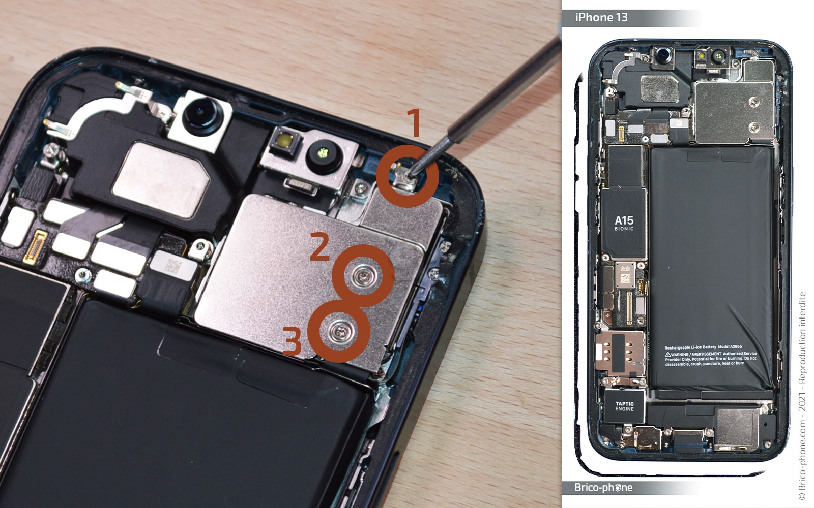 Changement du module des caméras arrière sur iPhone 13 photo 1