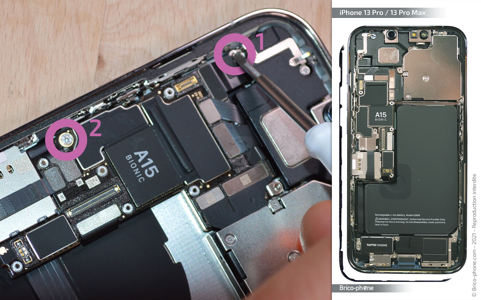 Guide de réparation sur iPhone 13 Pro Max photo 1