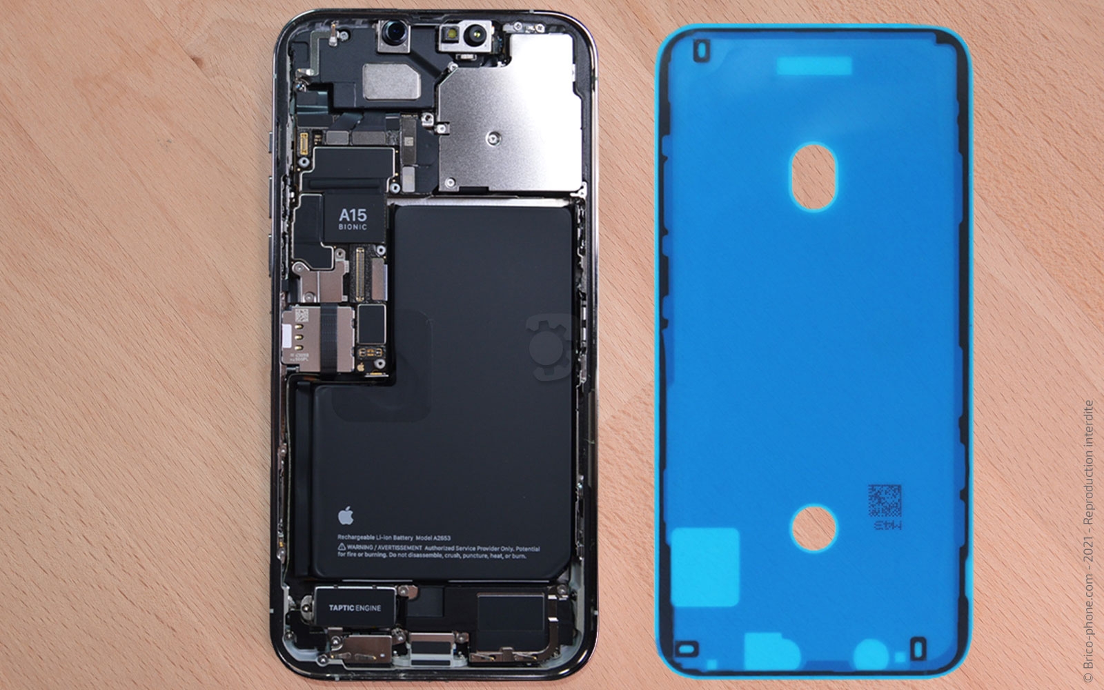 Comment remplacer le Taptic Engine (vibreur) sur iPhone 13 Pro Max photo 1