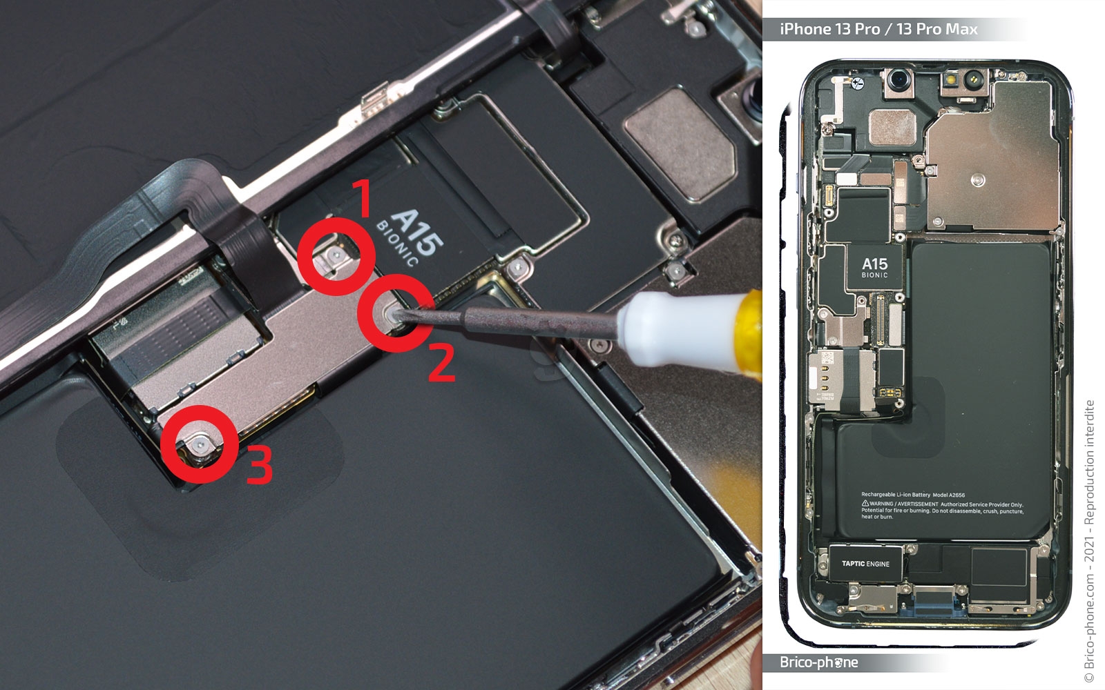 Comment remplacer le Taptic Engine (vibreur) sur iPhone 13 Pro Max photo 1