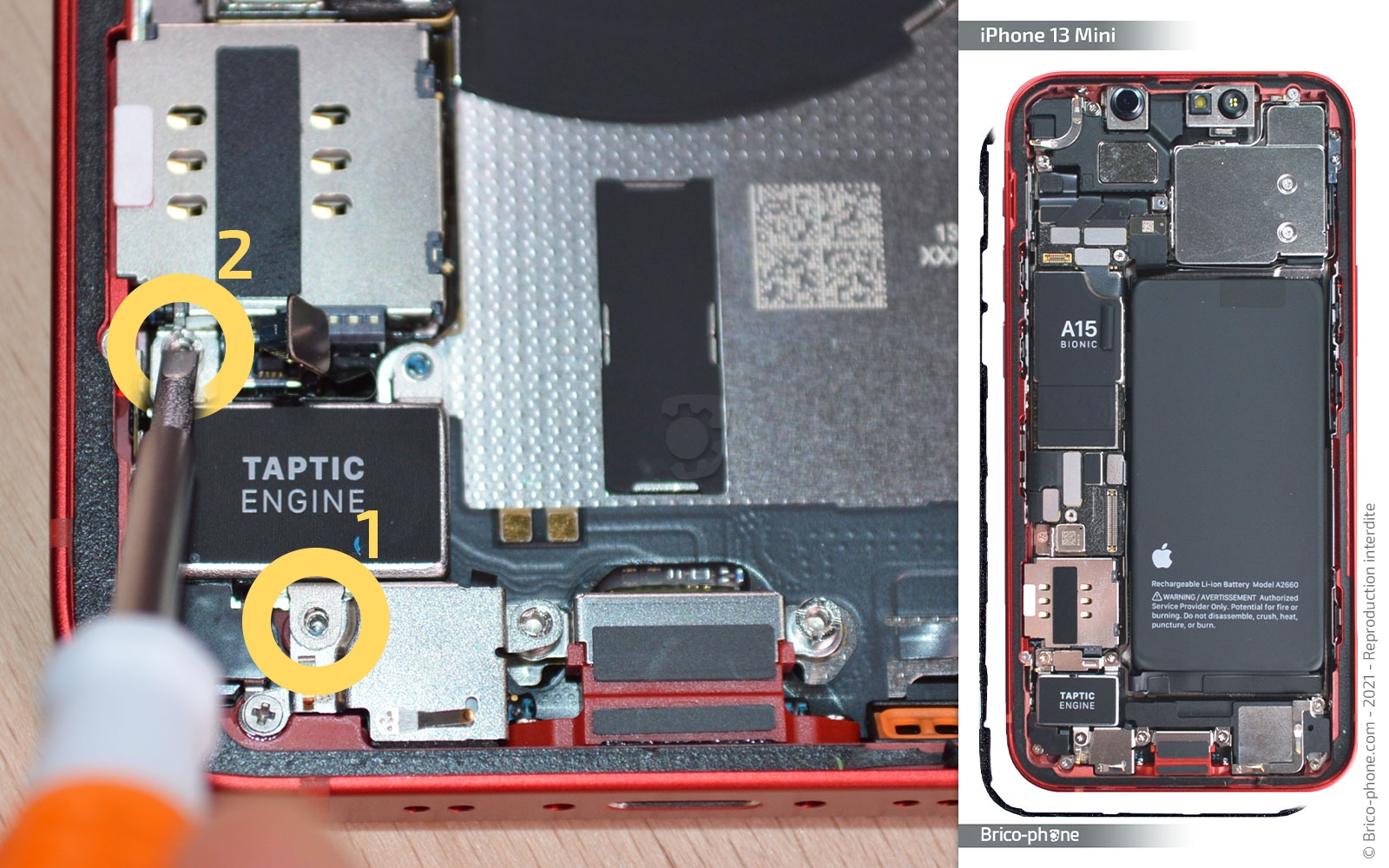 Démontage complet sur iPhone 13 Mini photo 1