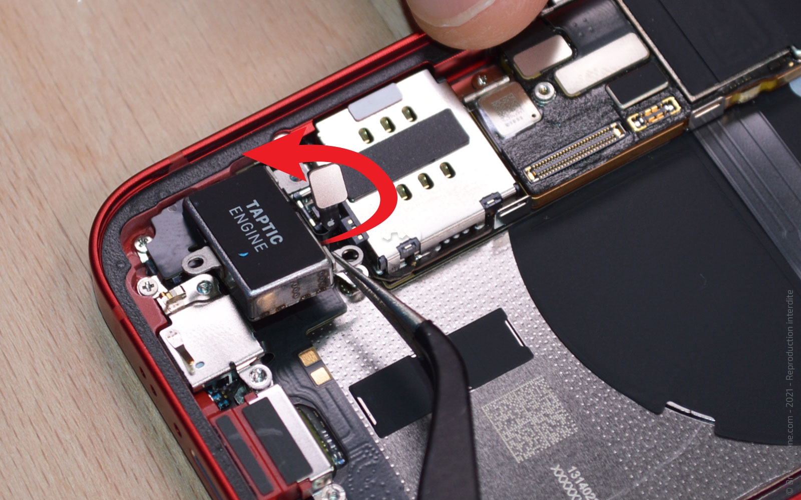 Démontage complet sur iPhone 13 Mini photo 2