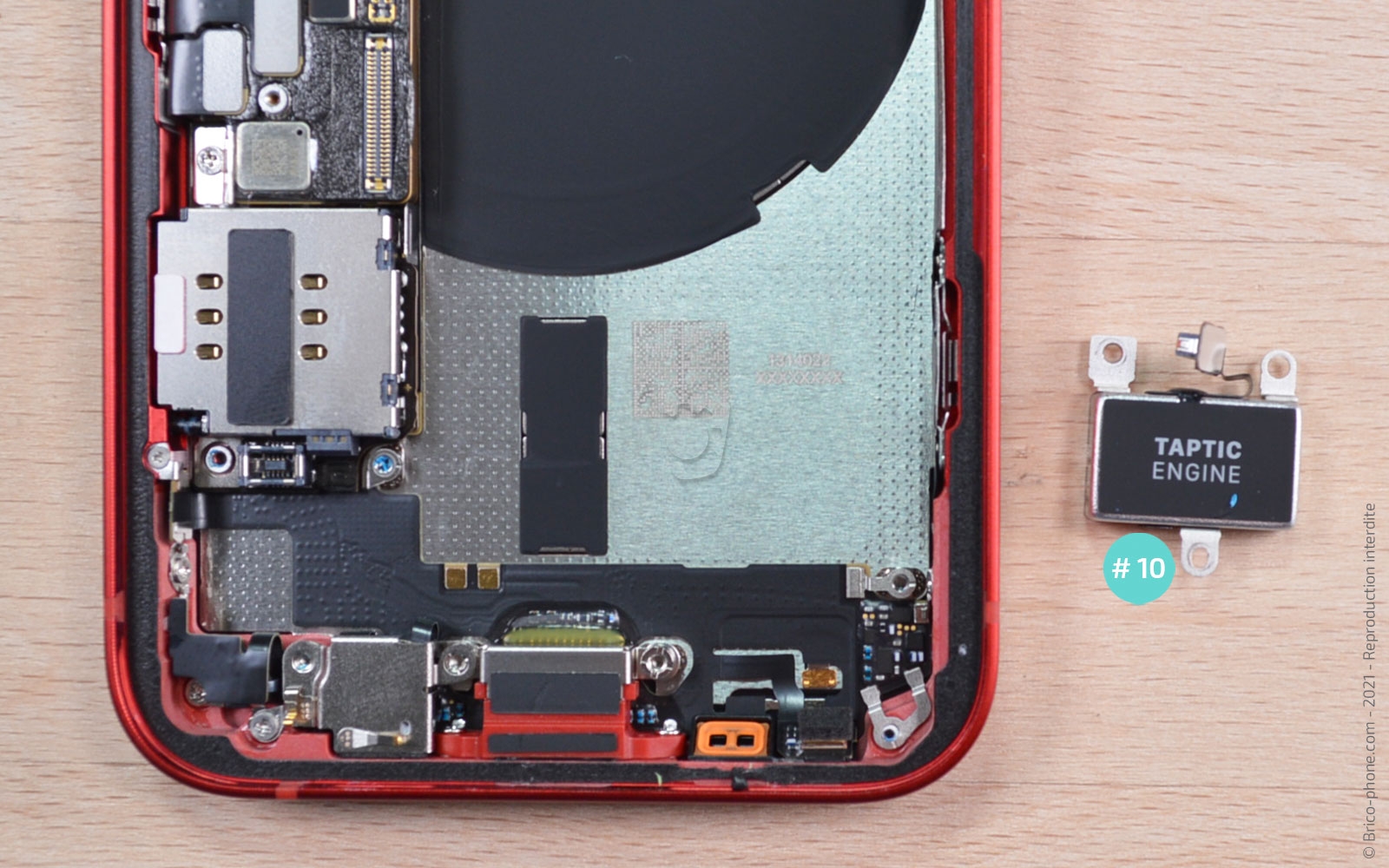 Démontage complet sur iPhone 13 Mini photo 3