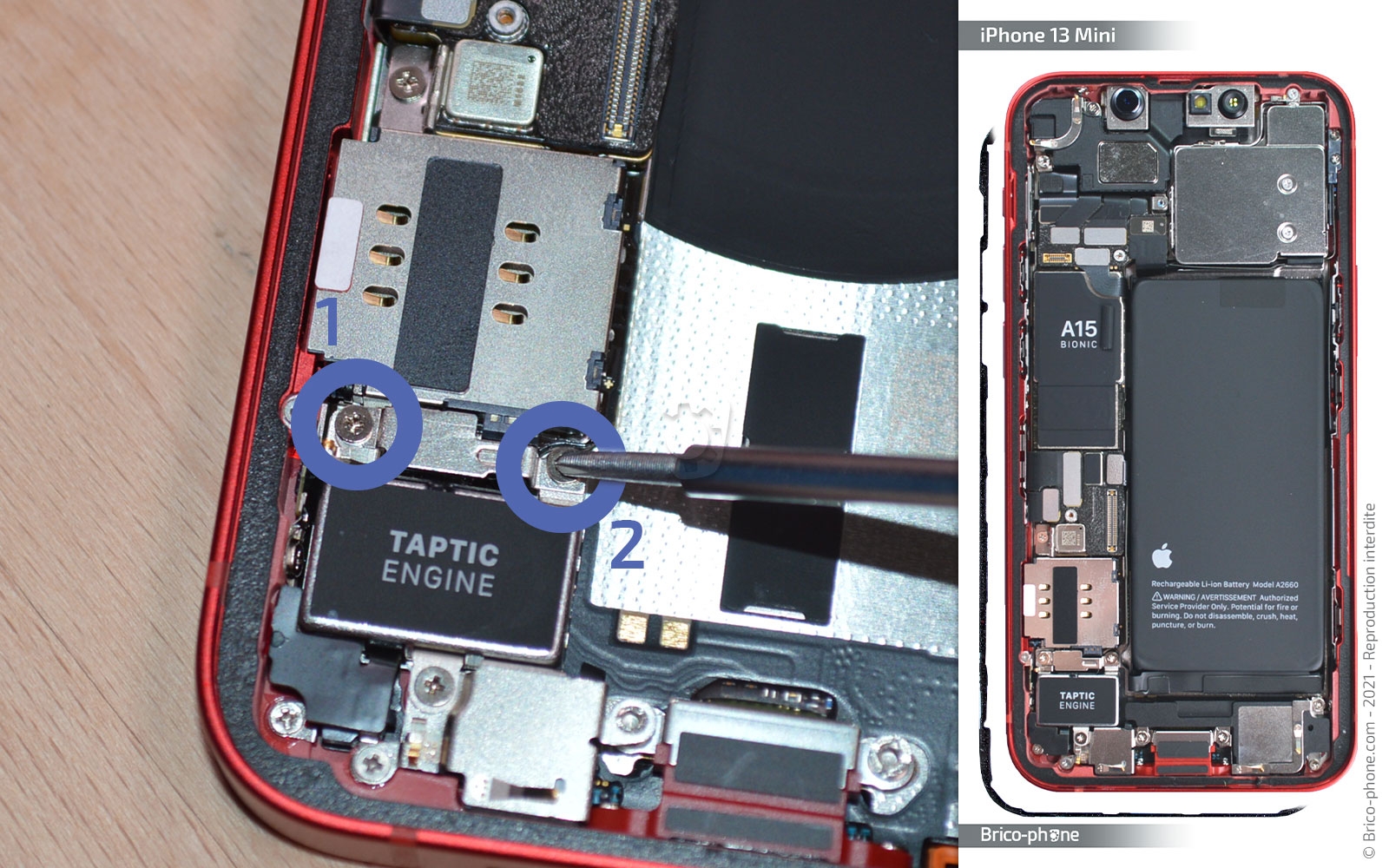 Démontage complet sur iPhone 13 Mini photo 1