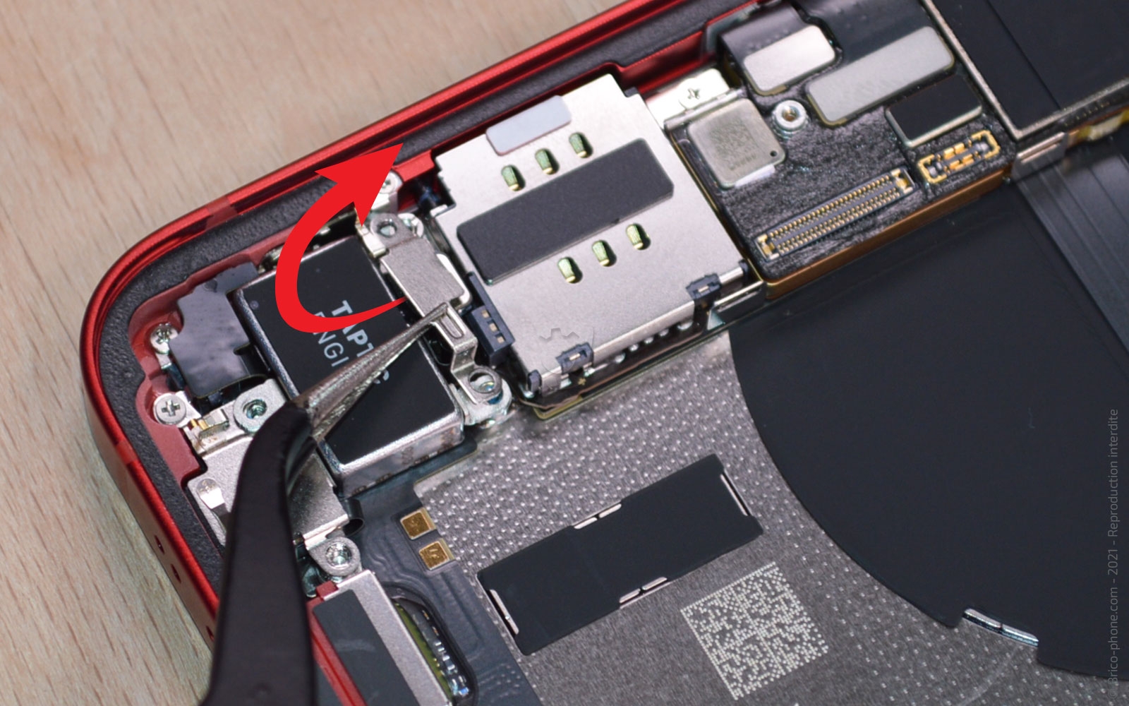Démontage complet sur iPhone 13 Mini photo 2