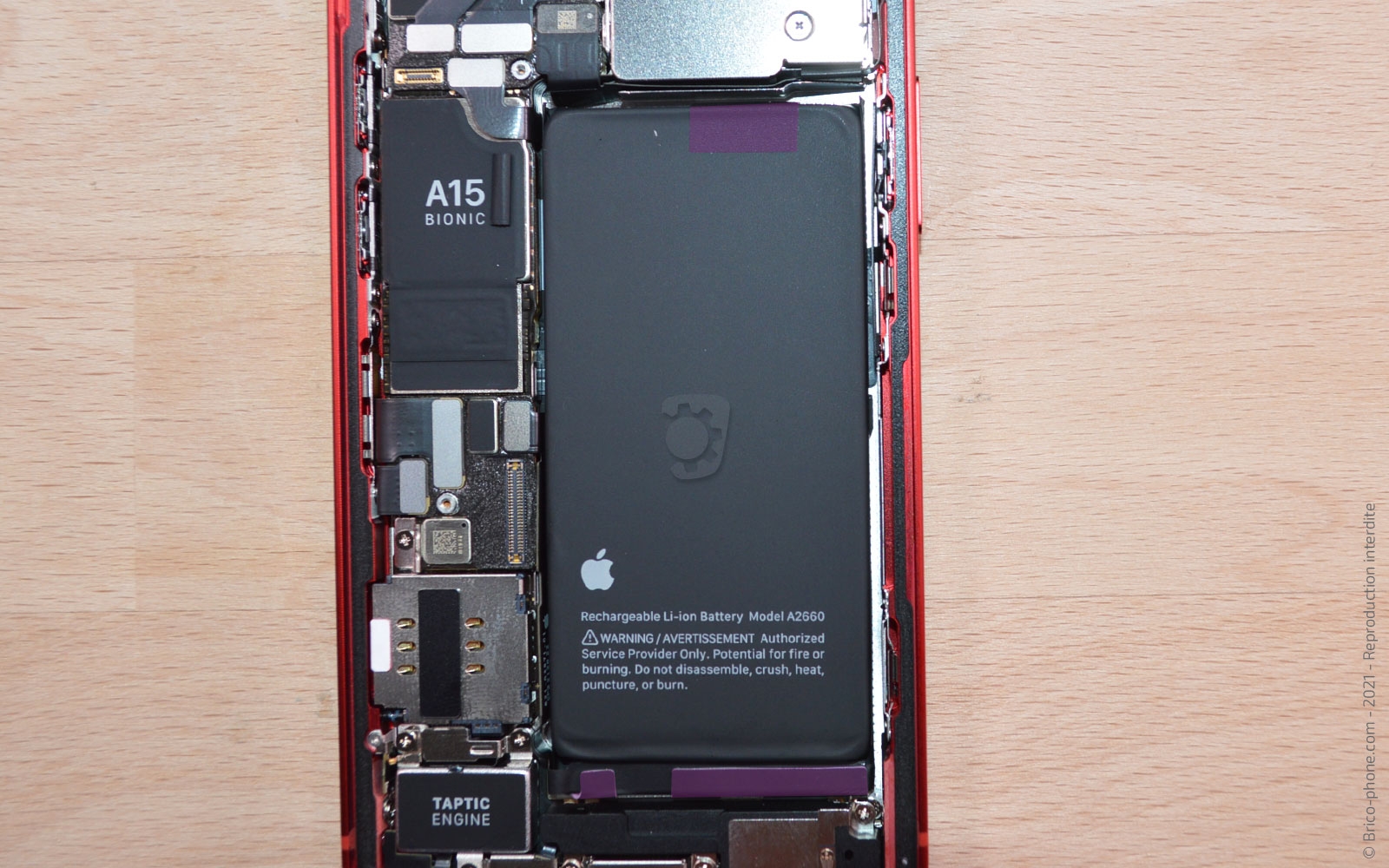 Démontage complet sur iPhone 13 Mini photo 1