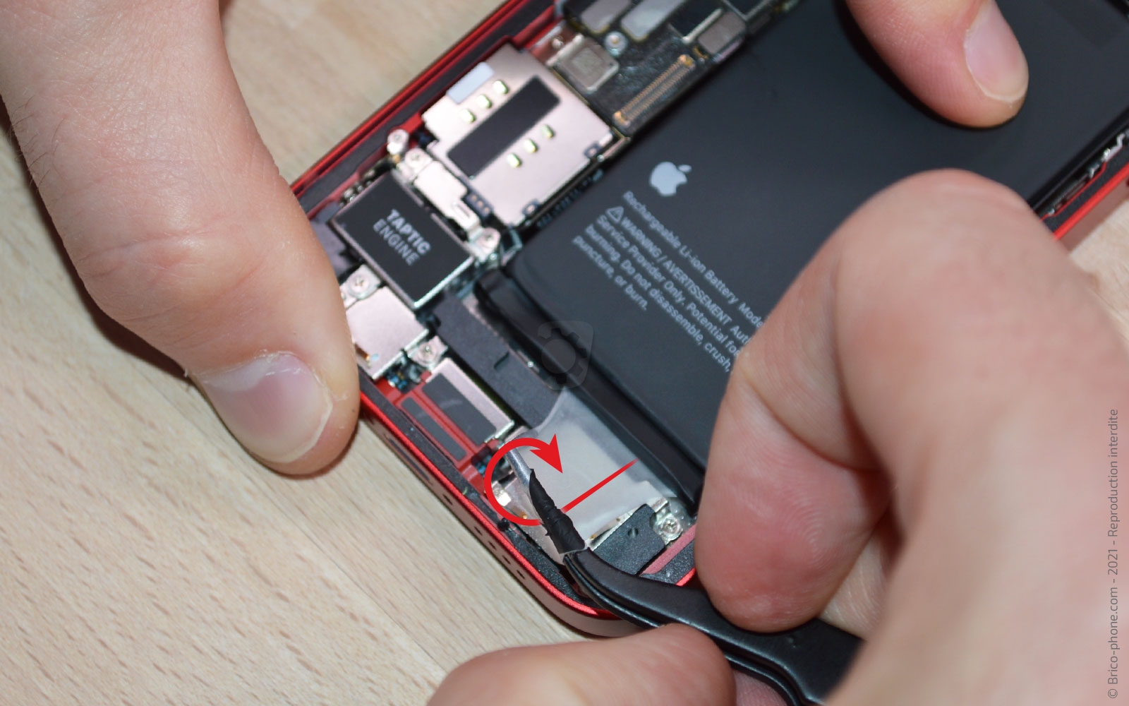 Démontage complet sur iPhone 13 Mini photo 3