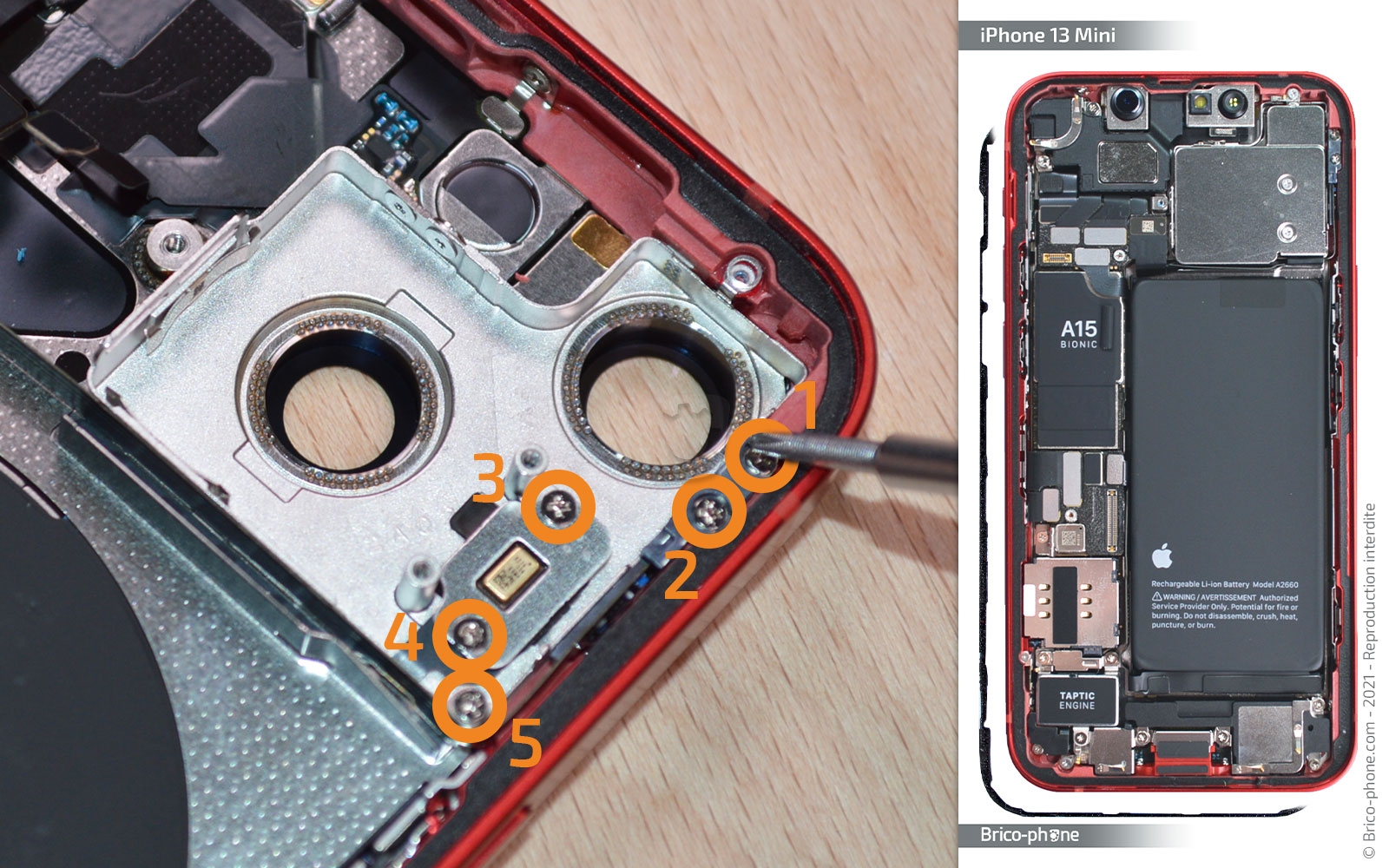 Démontage complet sur iPhone 13 Mini photo 1
