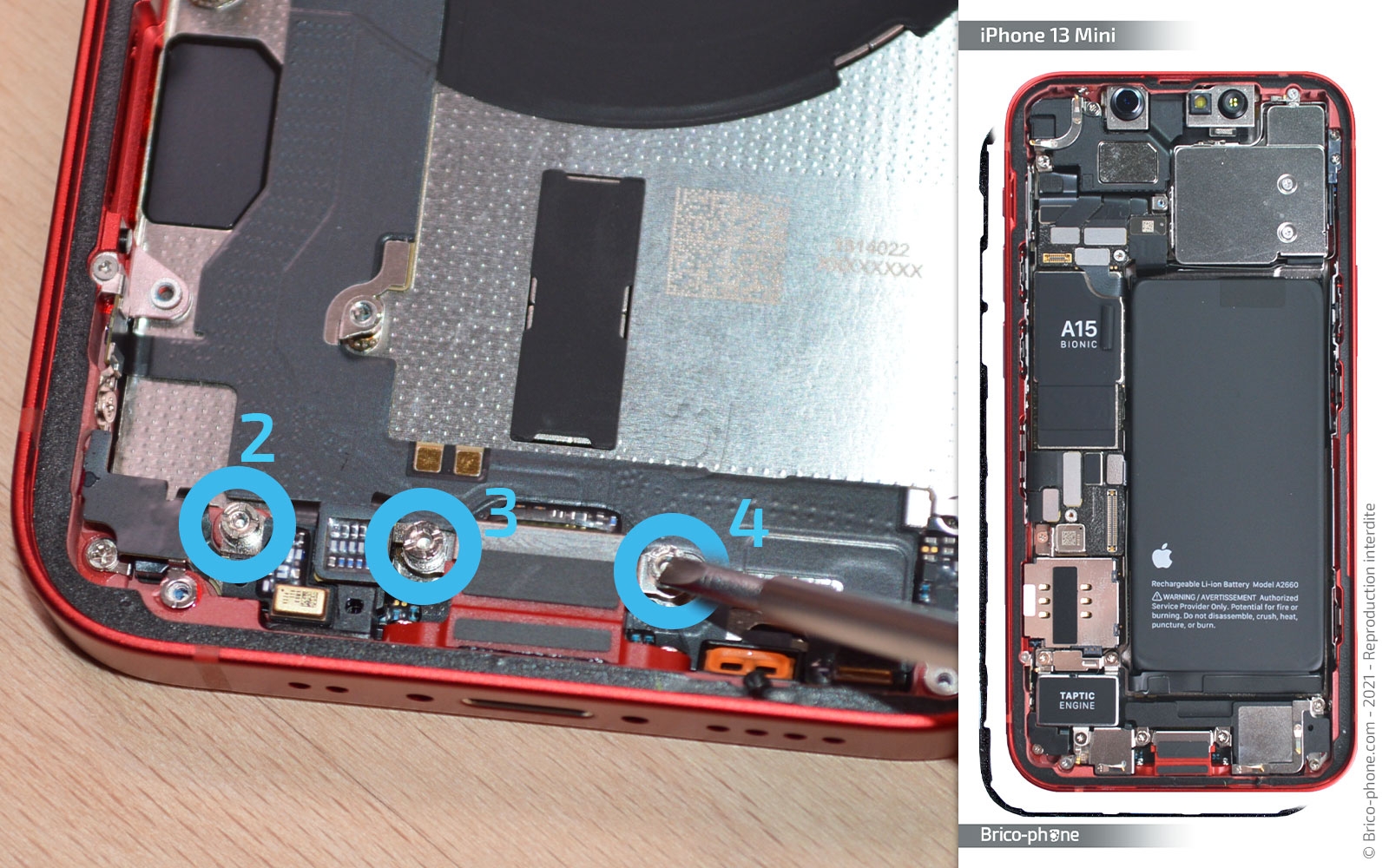 Démontage complet sur iPhone 13 Mini photo 1