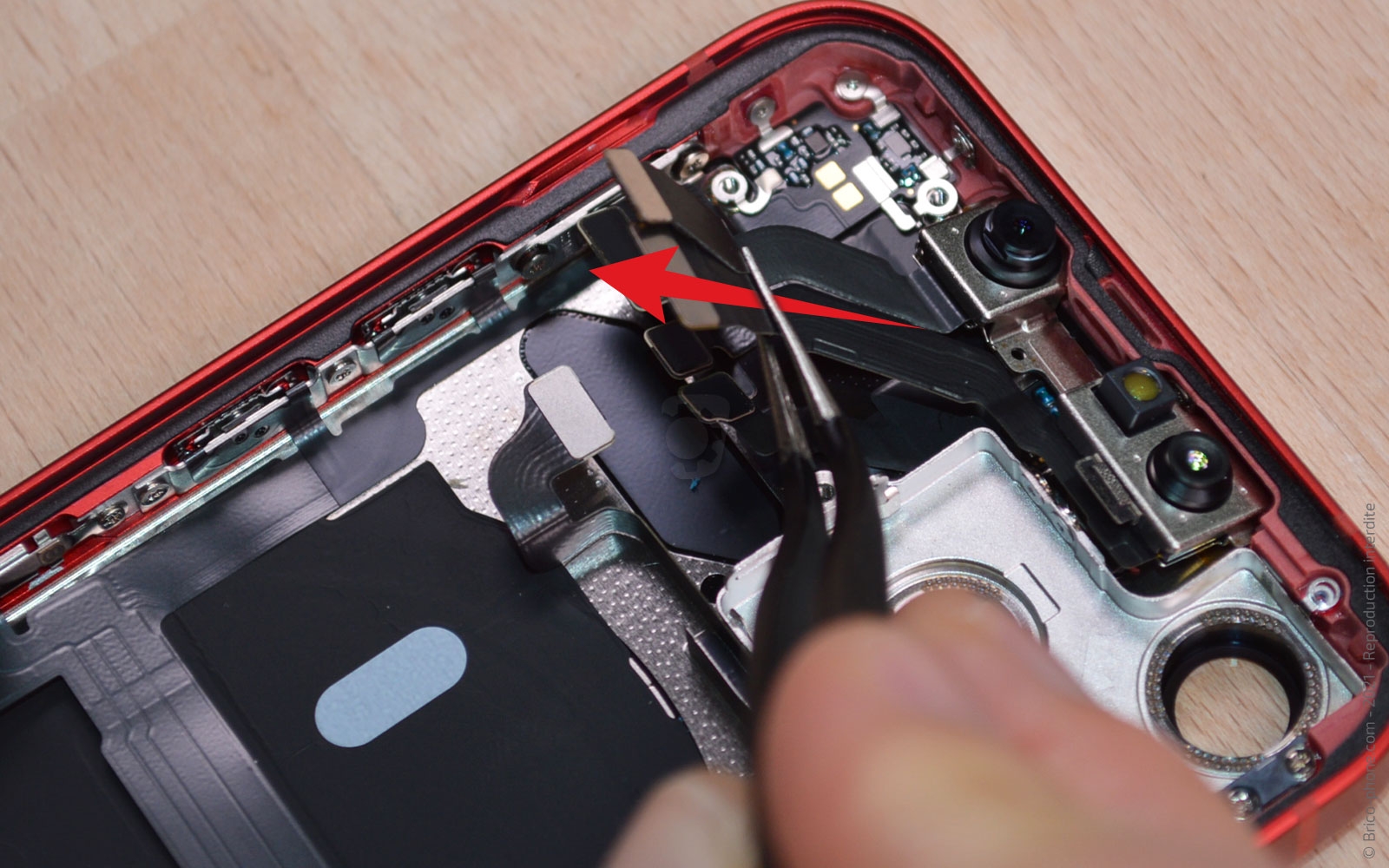 Démontage complet sur iPhone 13 Mini photo 1