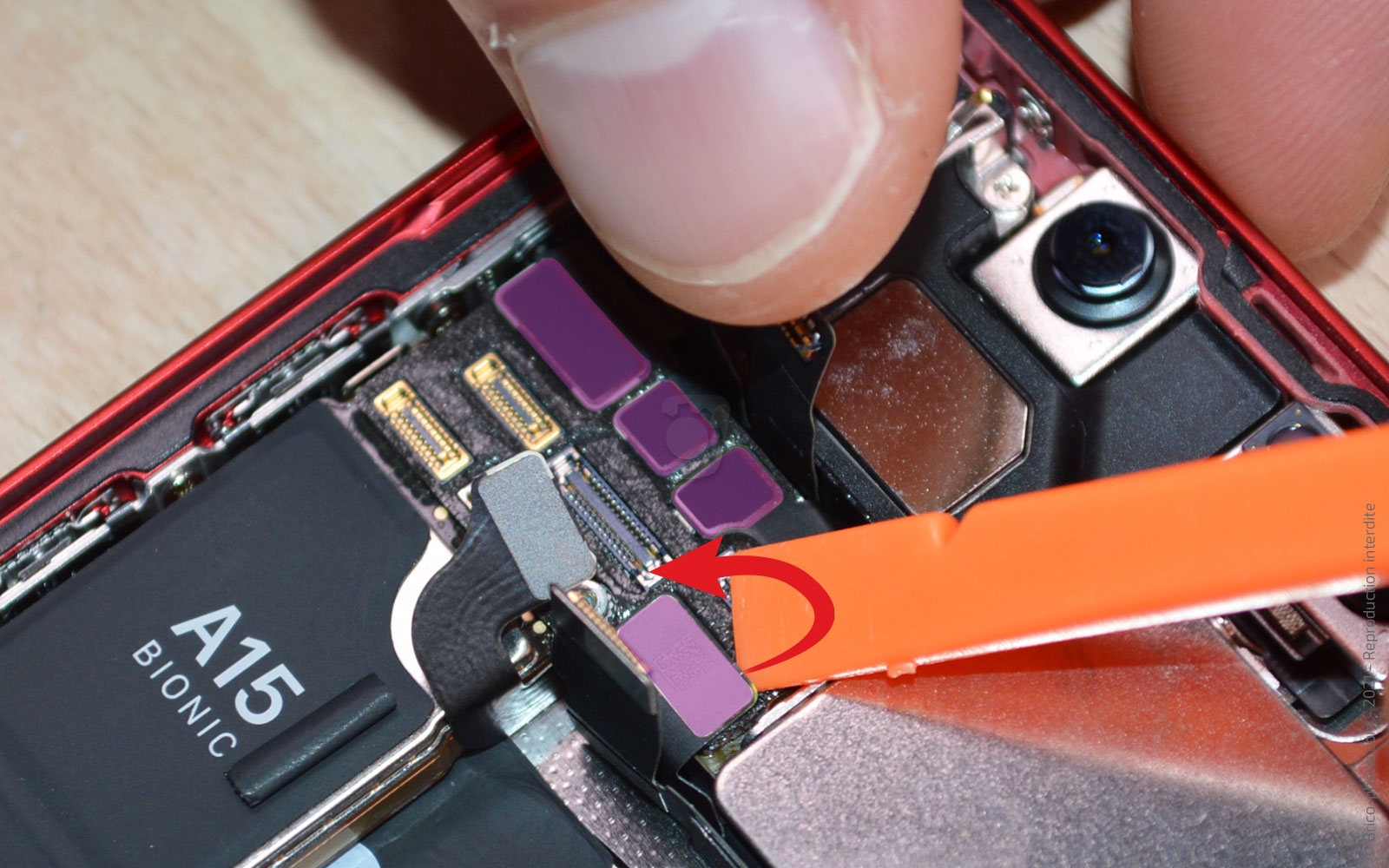 Démontage complet sur iPhone 13 Mini photo 2