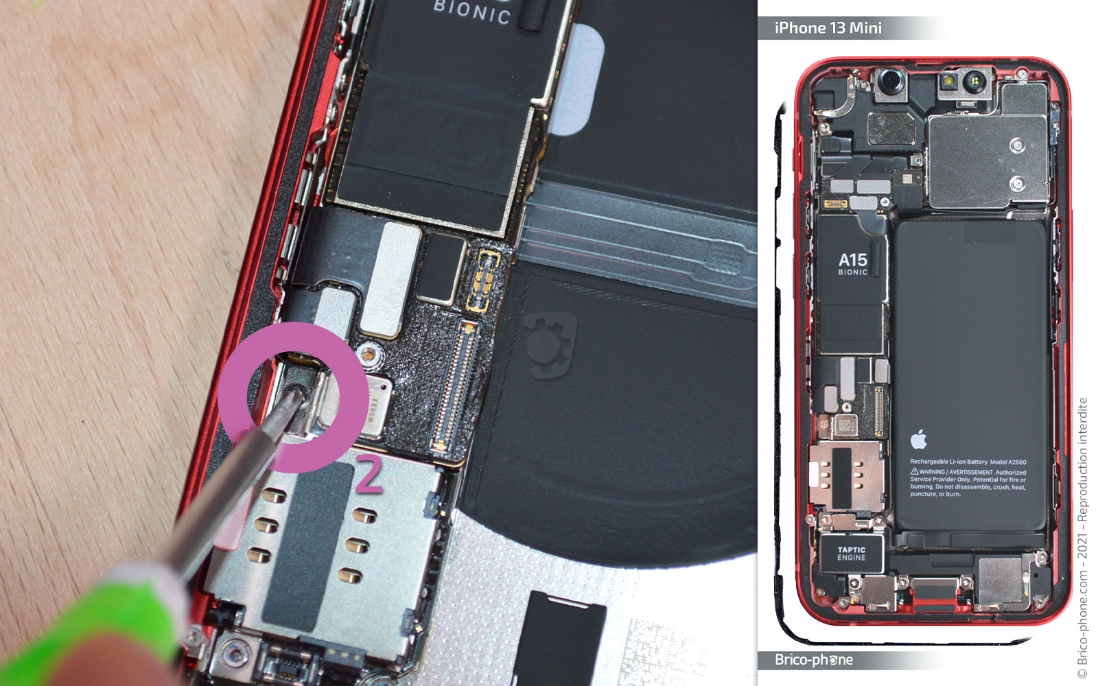Démontage complet sur iPhone 13 Mini photo 1