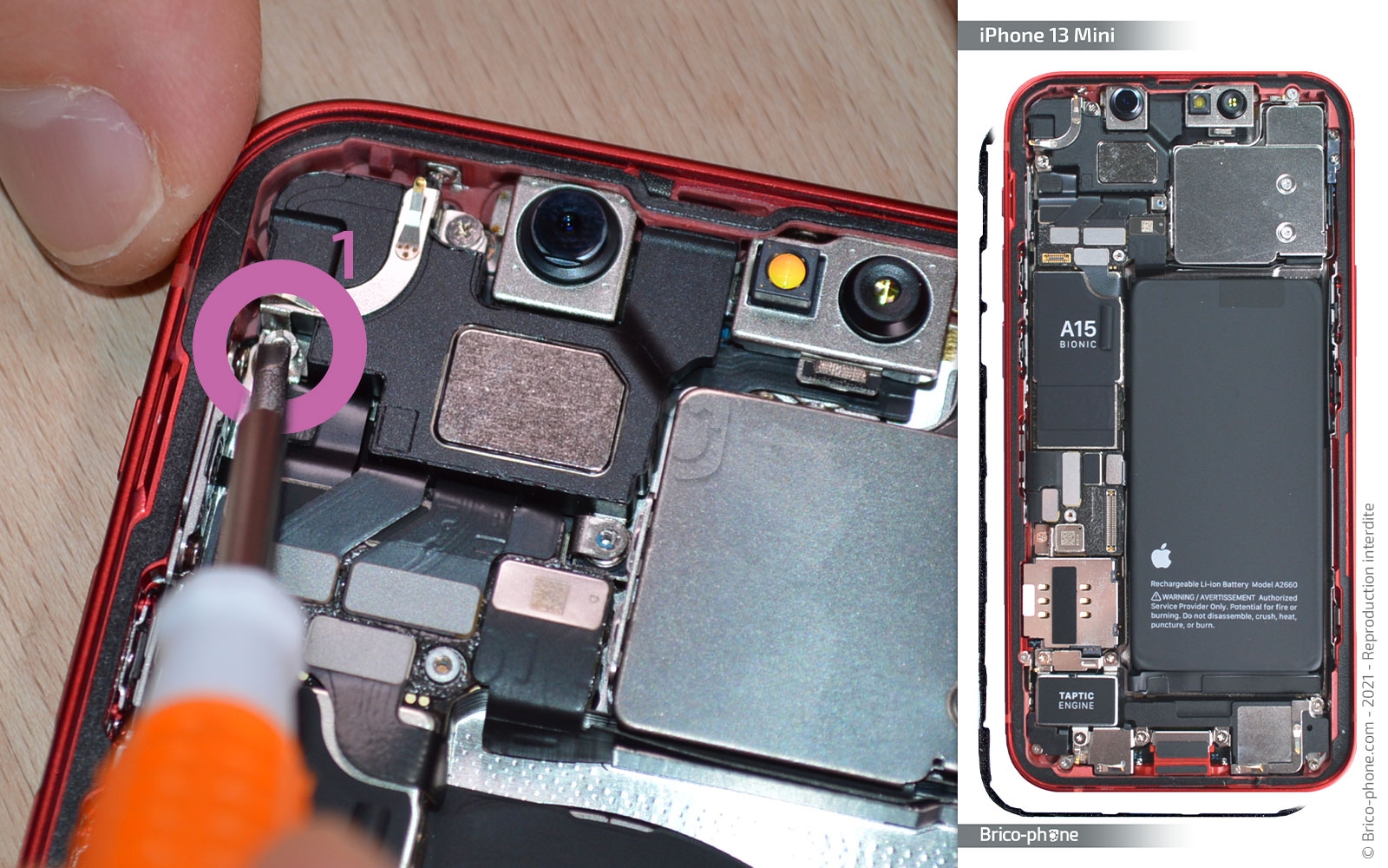 Démontage complet sur iPhone 13 Mini photo 2