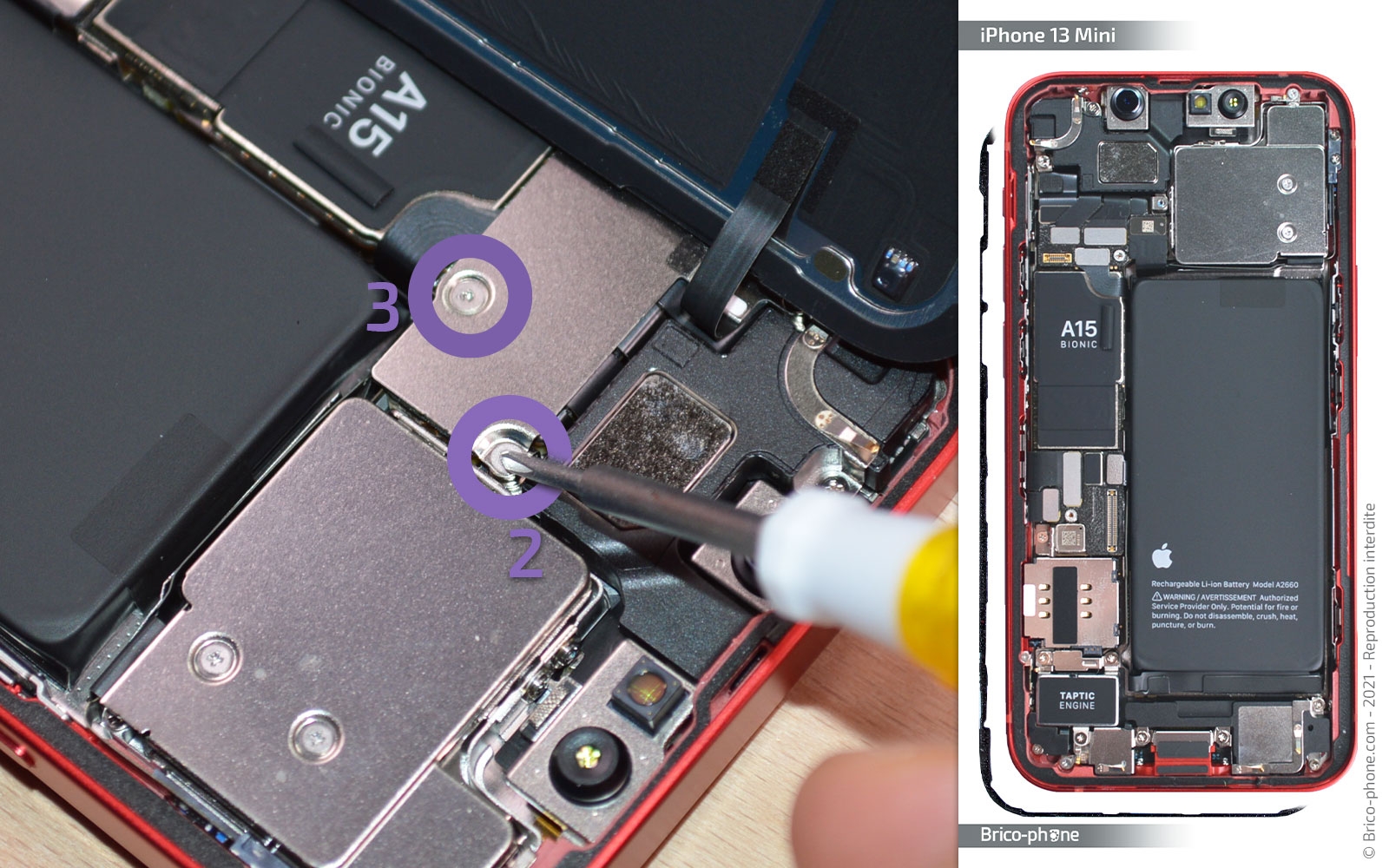 Démontage complet sur iPhone 13 Mini photo 1