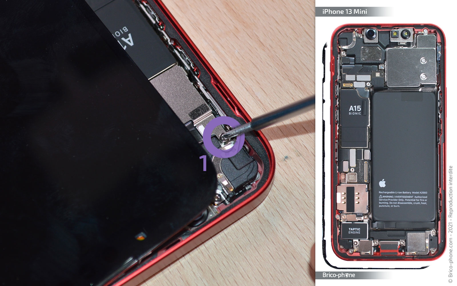 Démontage complet sur iPhone 13 Mini photo 2