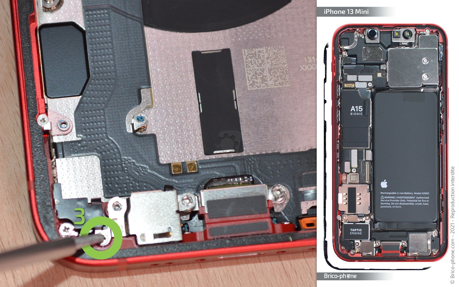 Démontage complet sur iPhone 13 Mini photo 1